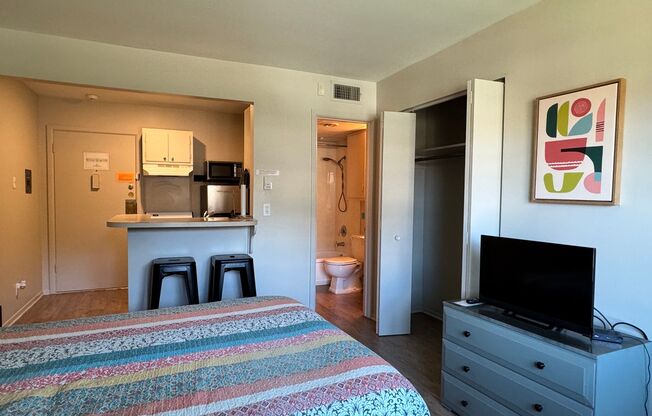 Studio, 1 bath, 310 sqft, $900, Unit 3