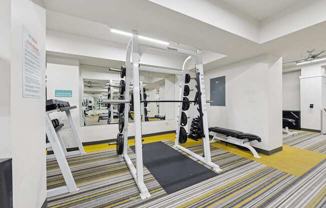 A gym with a variety of equipment including a squat rack, bench, and mirrors.