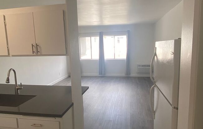 Studio, 1 bath, 390 sqft, $1,875, Unit 306