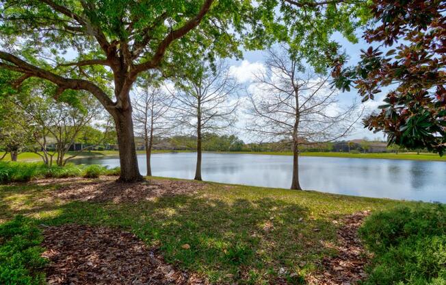 1106 HANSBERRY CT
