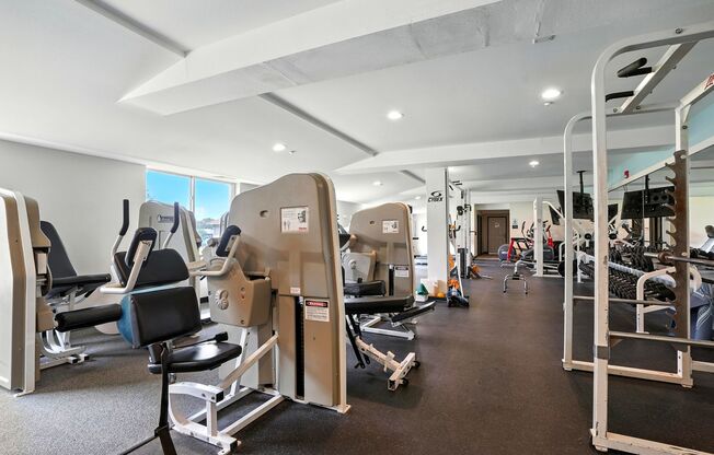 1 bed, 1 bath, 737 sqft, $1,350, Unit 3112