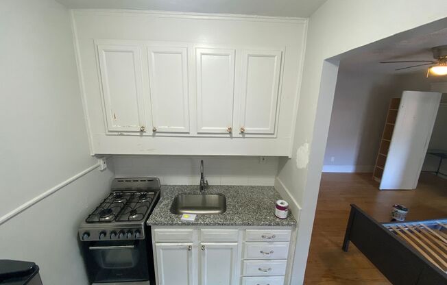 Studio, 1 bath, 325 sqft, $1,395, Unit Unit 307