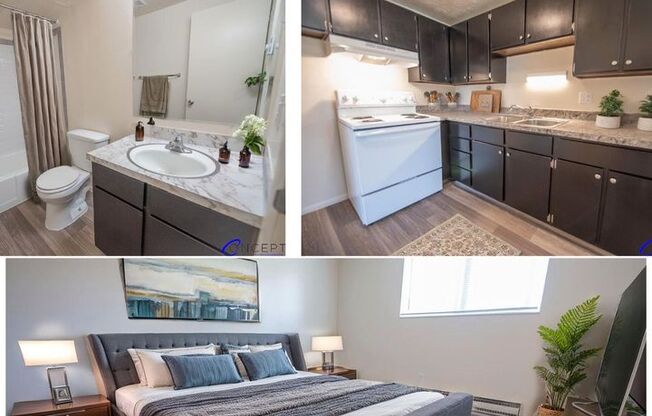 Studio, 1 bath, 360 sqft, $710, Unit 294