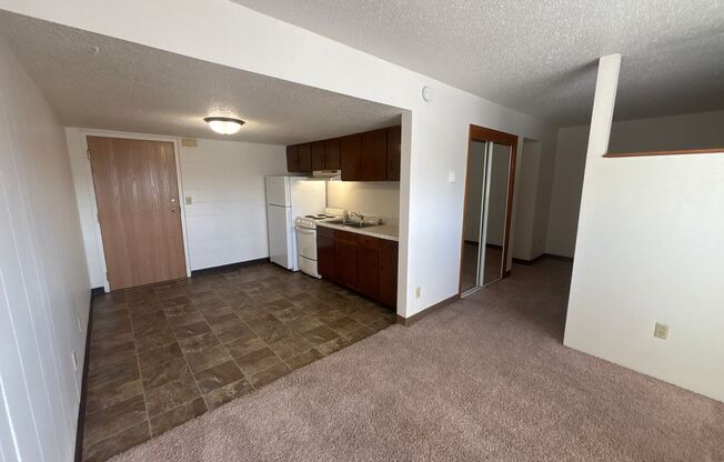 Studio, 1 bath, 500 sqft, $650, Unit 210