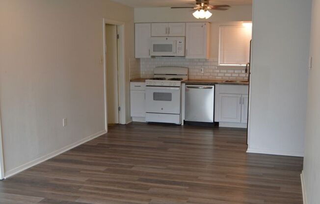 Newly remodeled 3 bed 2 bath home in East Terrell Hills