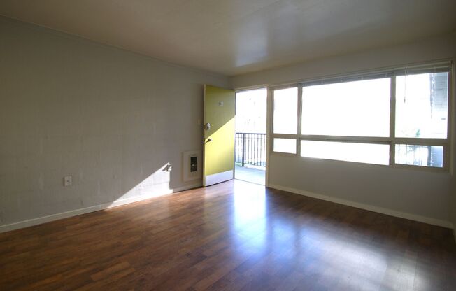1 bed, 1 bath, 393 sqft, $1,195, Unit 208