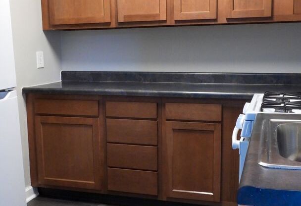 1 bed, 1 bath, 560 sqft, $920, Unit 55-17