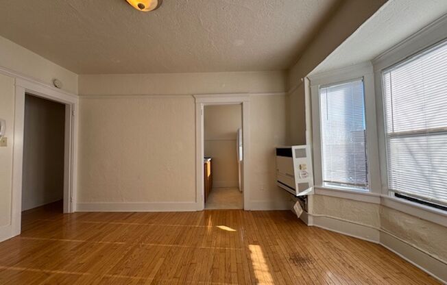 1 bed, 1 bath, 505 sqft, $1,495, Unit 16