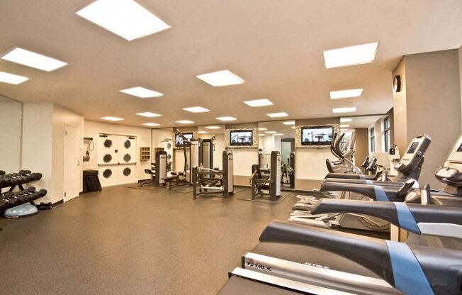 a gym with cardio equipment and weights on the floor