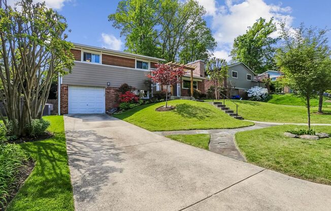Amazing 5BR/3BA Home in Bethesda,MD - Ready early July!