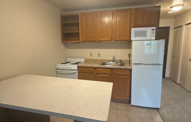 Studio, 1 bath, 300 sqft, $1,125, Unit 102-302
