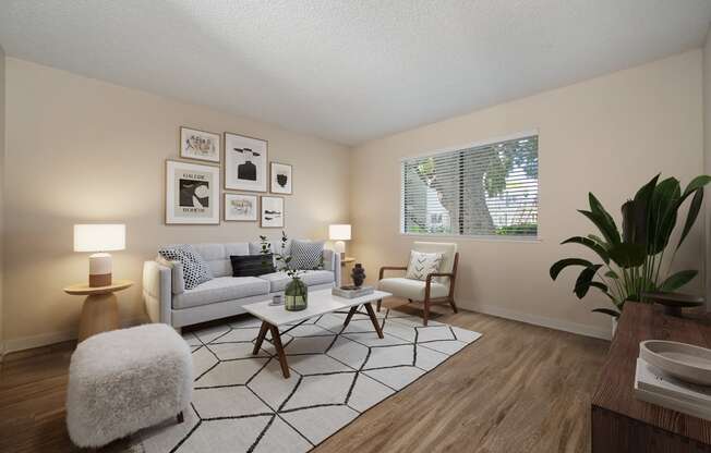 our apartments offer a living room with a couch and a coffee table