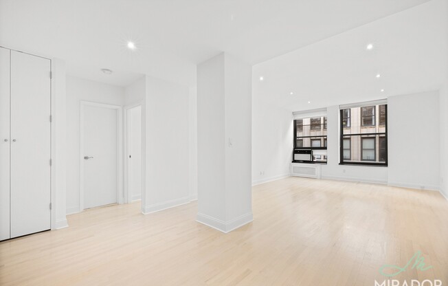 1 bed, 1 bath, $6,200, Unit 9G