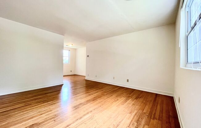 1 bed, 1 bath, 573 sqft, $850, Unit 314B Ash