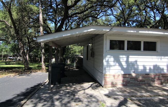 3/1 House / Rare find on the Hill!  Live near Landa Park  / Large Backyard /NBISD *2 weeks free rent off the first full month*