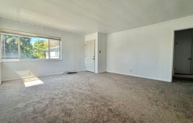 Triplex - Upstairs unit - Large 2bd 1ba located in Maxwell Park