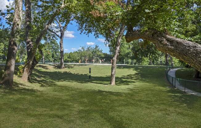 Westshore_Colony_Amenity_7_New_Braunfels_TX