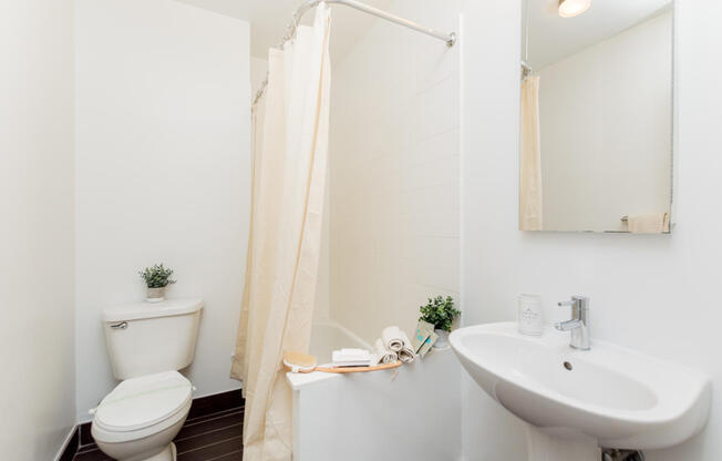 Studio, 1 bath, $3,295, Unit 408