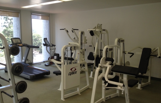Studio, 1 bath, $2,350