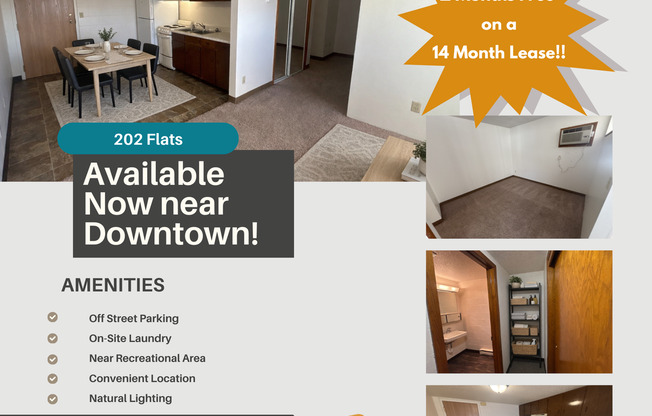 Studio, 1 bath, 500 sqft, $650, Unit 210