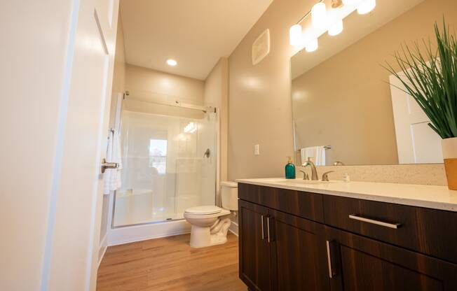 a bathroom with a sink and a shower and a toilet