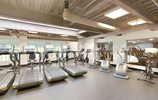 Studio, 1 bath, $3,100, Unit 1202