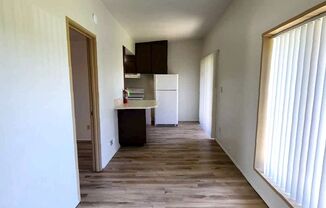 1 bed, 1 bath, 440 sqft, $925, Unit 1115-B