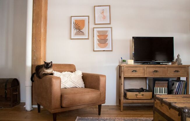 Studio, 1 bath, 888 sqft, $1,395, Unit 207