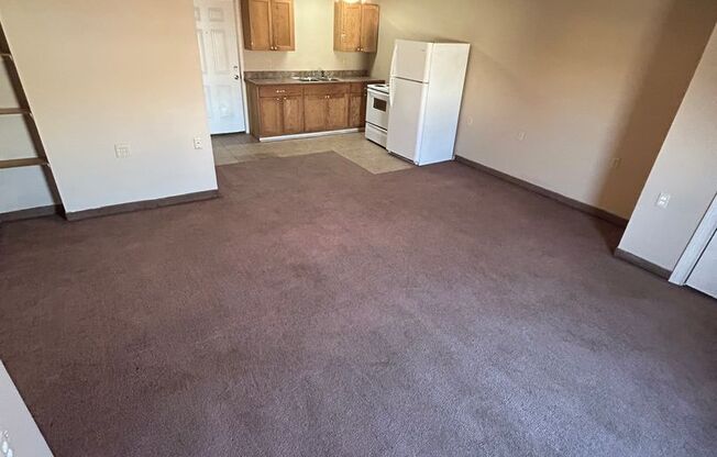 Studio, 1 bath, $500, Unit 21