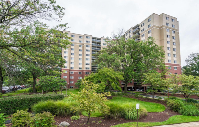 Beautiful Three-Bedroom Apartment In Tacoma Park