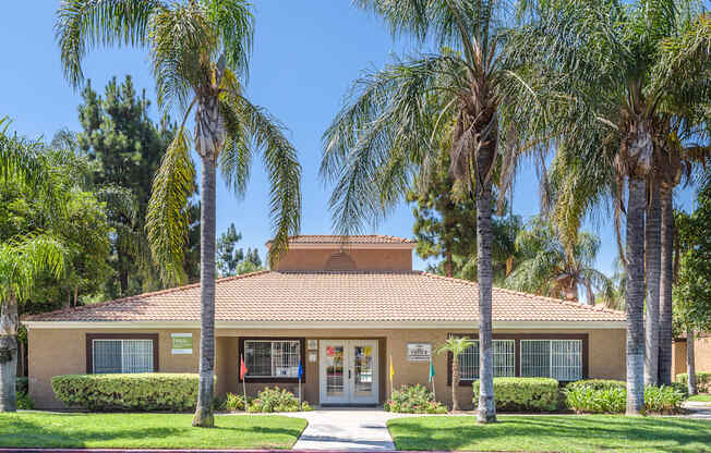 our office is located in a building with palm trees