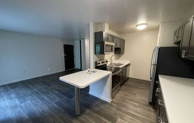 Renovated Kitchen and Living Space