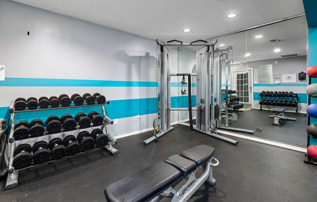 a gym with weights and dumbbells and a mirrored wall