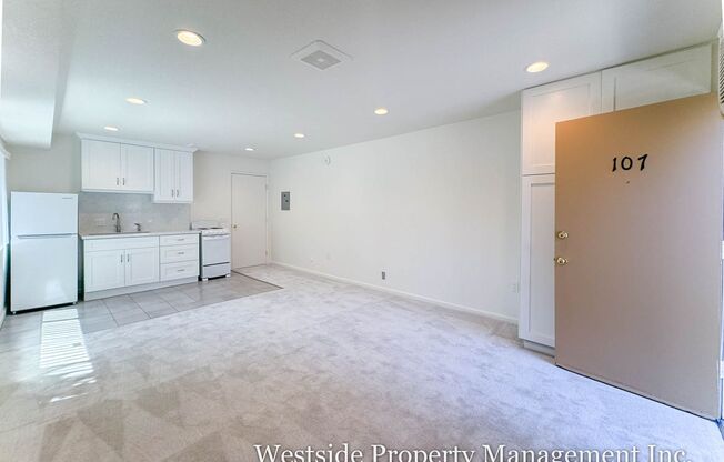 Studio, 1 bath, 267 sqft, $1,750, Unit 107