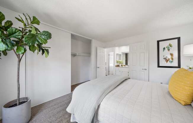 a white bedroom with a white bed and a potted plant