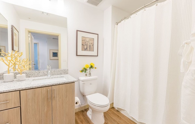 Gilbert AZ Apartments - Bathroom With Private Master Baths, Plank Flooring, Granite Countertops, Wood-Grain Cabinets, Toilet, And Large Mirror.