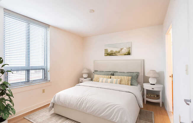 Bedroom with Hard Surface Flooring