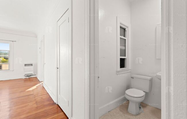 Studio, 1 bath, 500 sqft, $1,595, Unit Unit #302