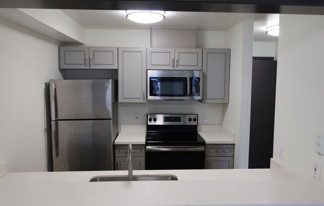 1 bed, 1 bath, $1,695, Unit 308