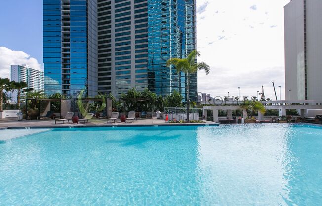 1 bed, 1 bath, $3,200
