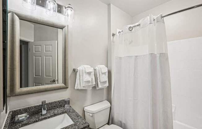 a bathroom with a toilet and a sink and a mirror