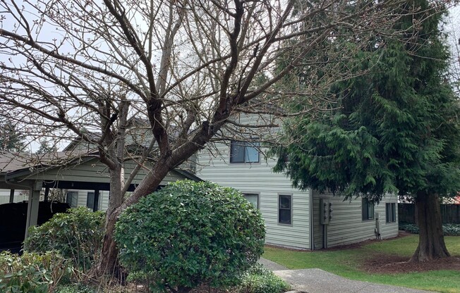 Griffin 10 Plex - Kirkland