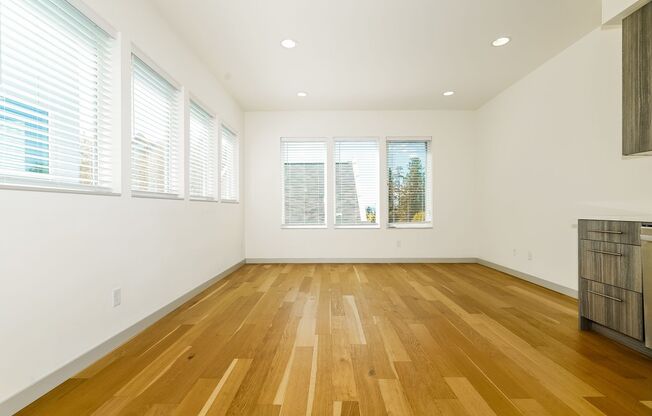 Luxury New Construction with Rooftop Views