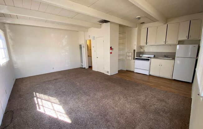 Studio, 1 bath, 400 sqft, $725, Unit 1620-5