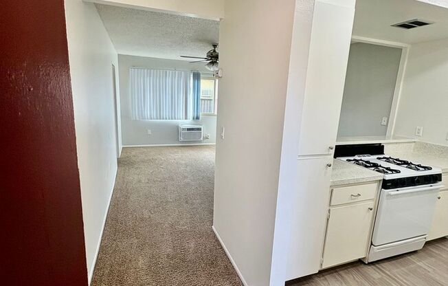 Studio, 1 bath, 433 sqft, $1,750, Unit 216