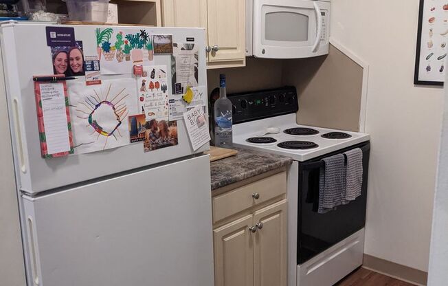 1 bed, 1 bath, 606 sqft, $3,100, Unit 907