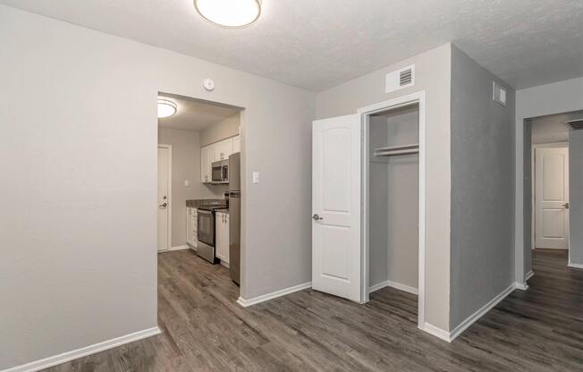 View of a modern apartment interior featuring a grey-painted wall, an open doorway leading to a kitchen area with stainless steel appliances, and a closet with sliding doors. The flooring is a light wood finish, and the space is illuminated by a ceiling light fixture.