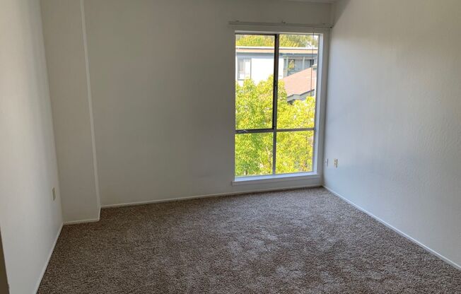 1 bed, 1 bath, 675 sqft, $1,985, Unit 305