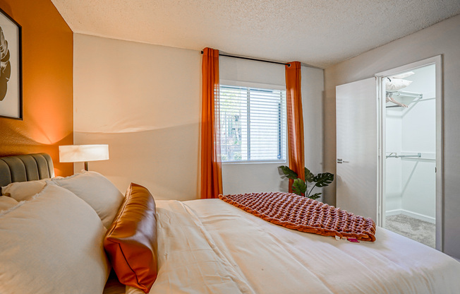 Treehouse Apartments - Apartment Living in Albuquerque, NM
