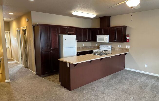 University Townhomes
